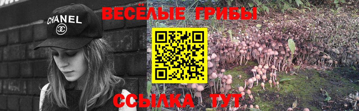 Псилоцибиновые грибы мухоморы  Галлюциногенные грибы Psilocybe  Вход с VPN  Домодедово 
