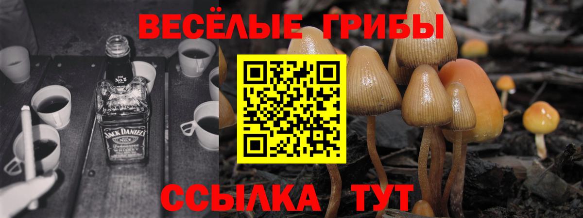 Псилоцибиновые грибы Psilocybine cubensis Домодедово
